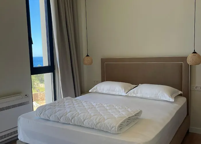 South And * Дхерми