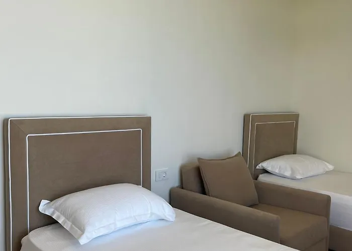 South And * ديرمي